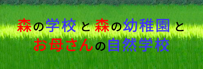 森の学校と森の幼稚園とお母さんの自然学校